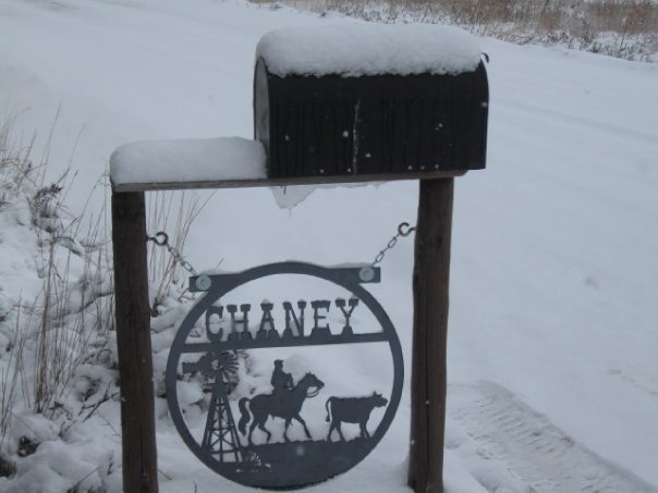 Ryan Chaney's album, Snow