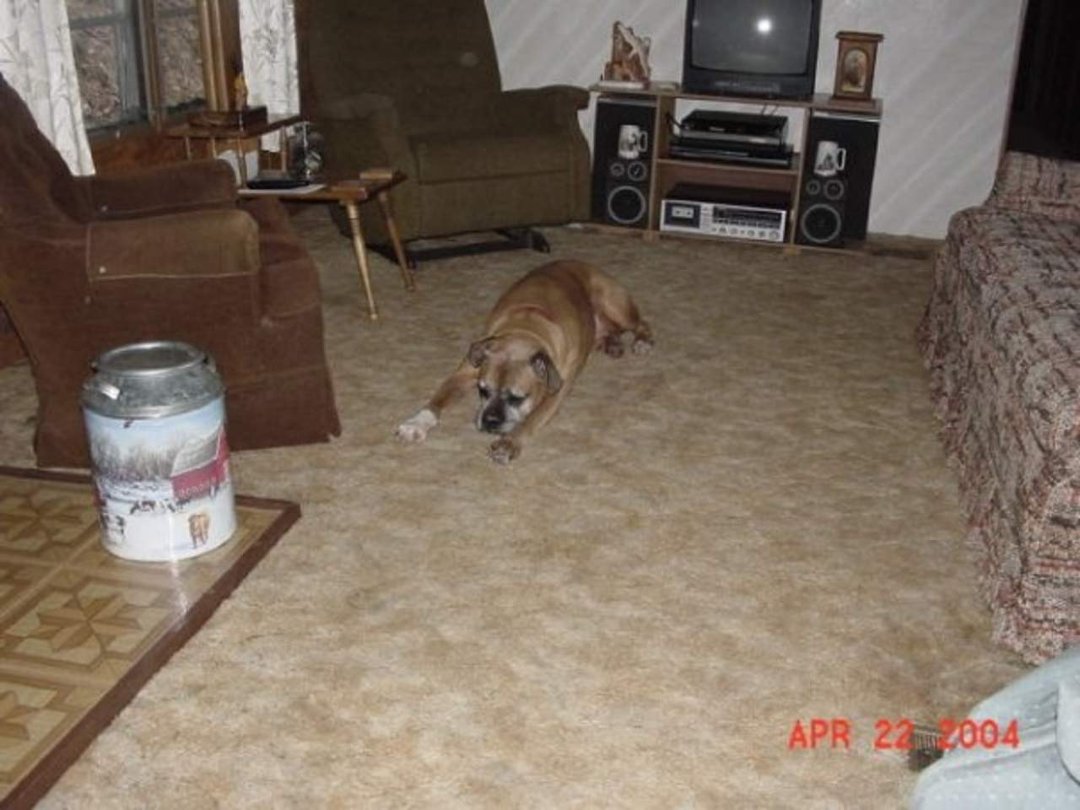 Rob Allard's album, Charlie