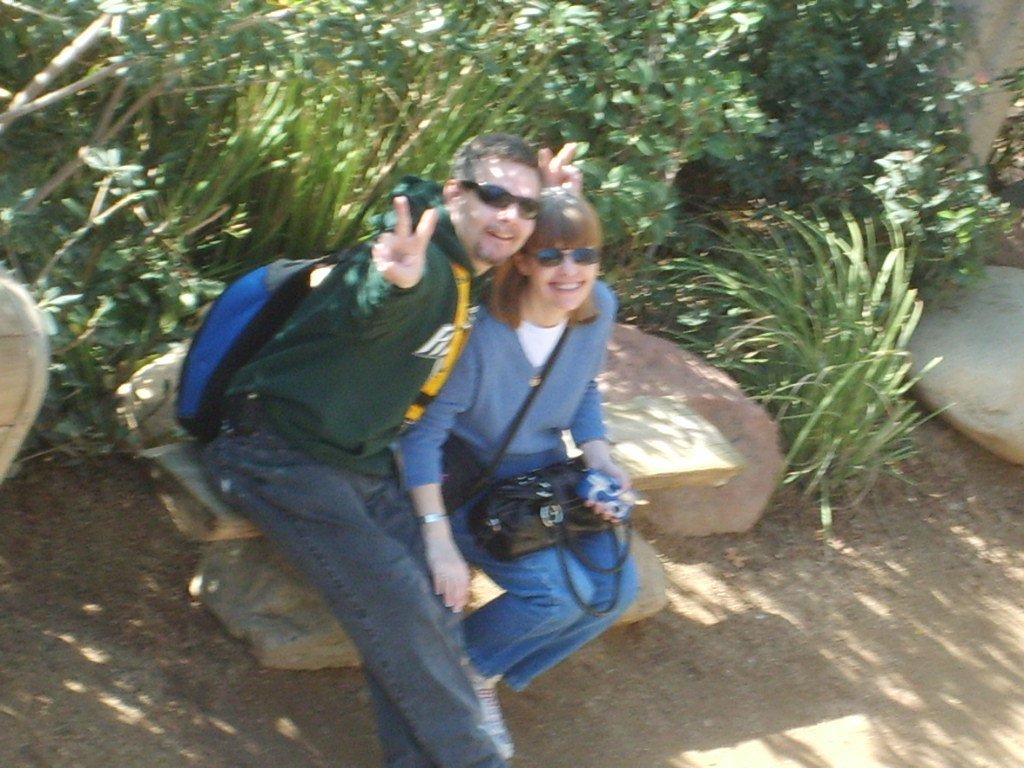 Terri Parsons' album, Profile Pictures