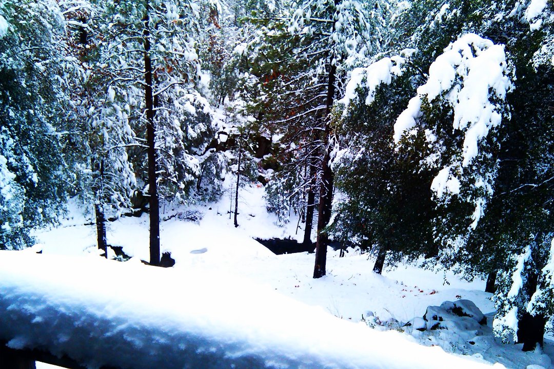 Michael Grider's album, Cover Photos