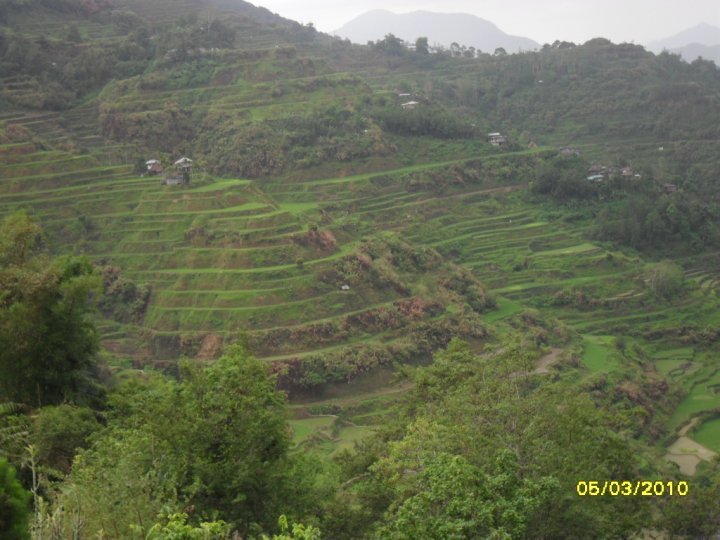 Donato Colcol's album, Family's visit to Banaue Rice Terraces