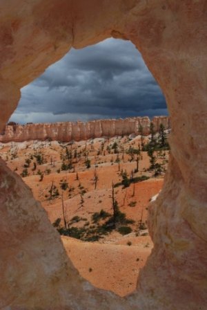 Michael Fingerle's album, West Trip 2010