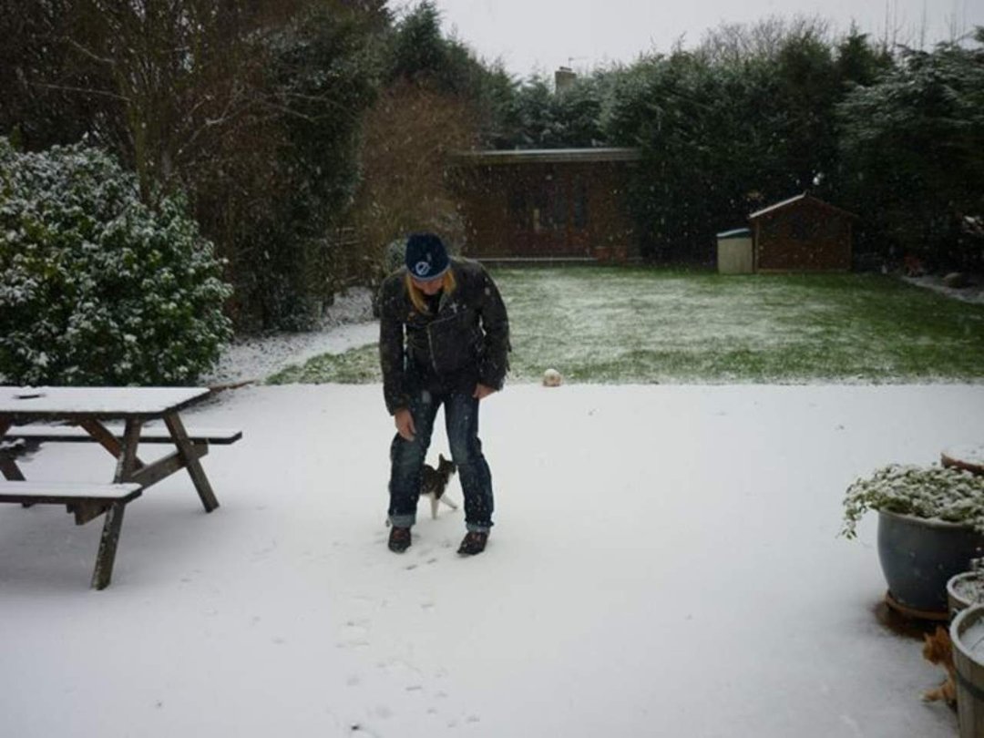 Linda K Berkeley's album, Georgie & Joey's 1st snow