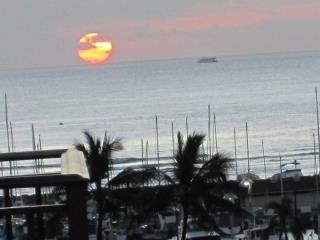 Alan Cook's album, HAWAII JAN 2010