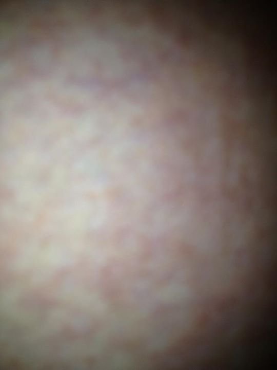 Ellen Jones' album, Mobile Uploads