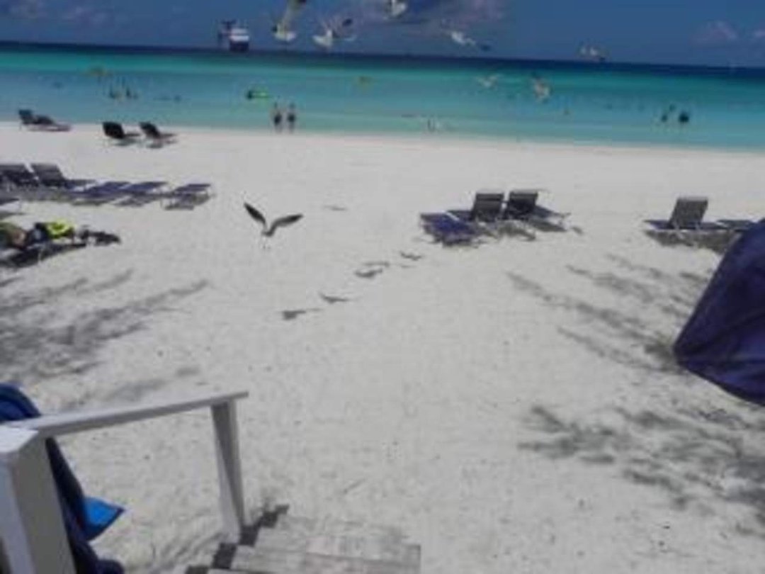 Lori Herring's album, Bahamas Cruise 2011