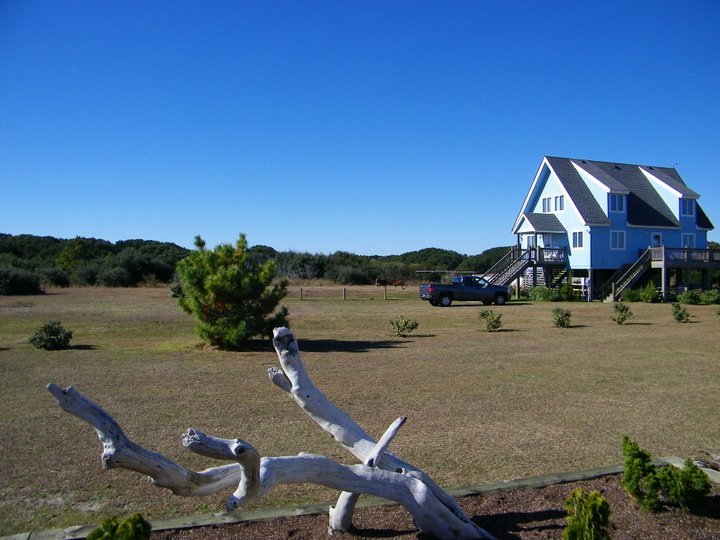 Lori Shearon's album, November 28, 2010
