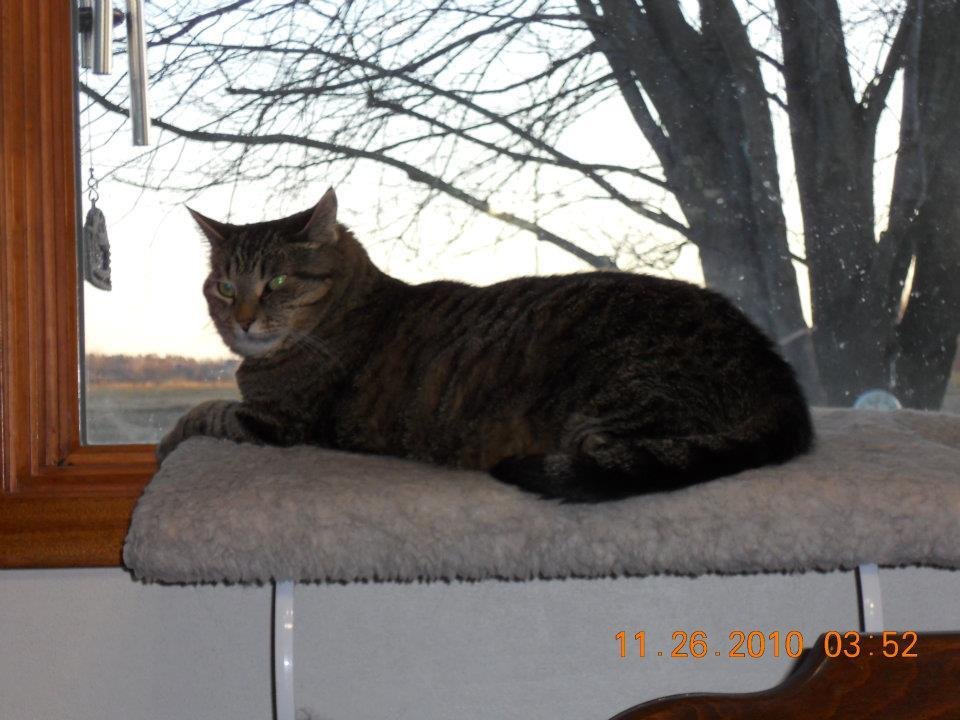 Charles Lichte's album, Cover Photos
