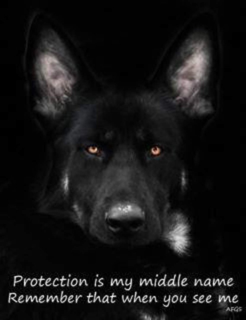 Starr Williams' album, Timeline Photos