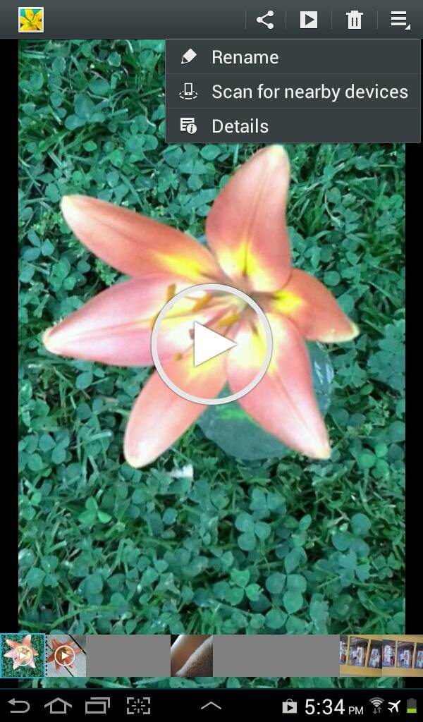 Lois Cook's album, Mobile Uploads
