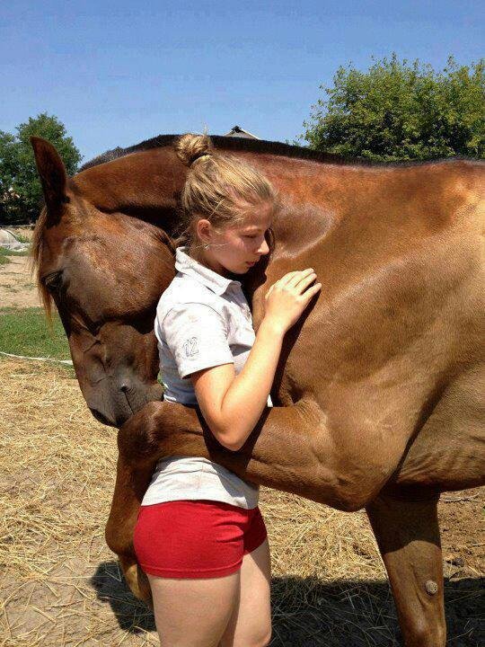 John H Webb's album, Ever horses need hugs every once in a while