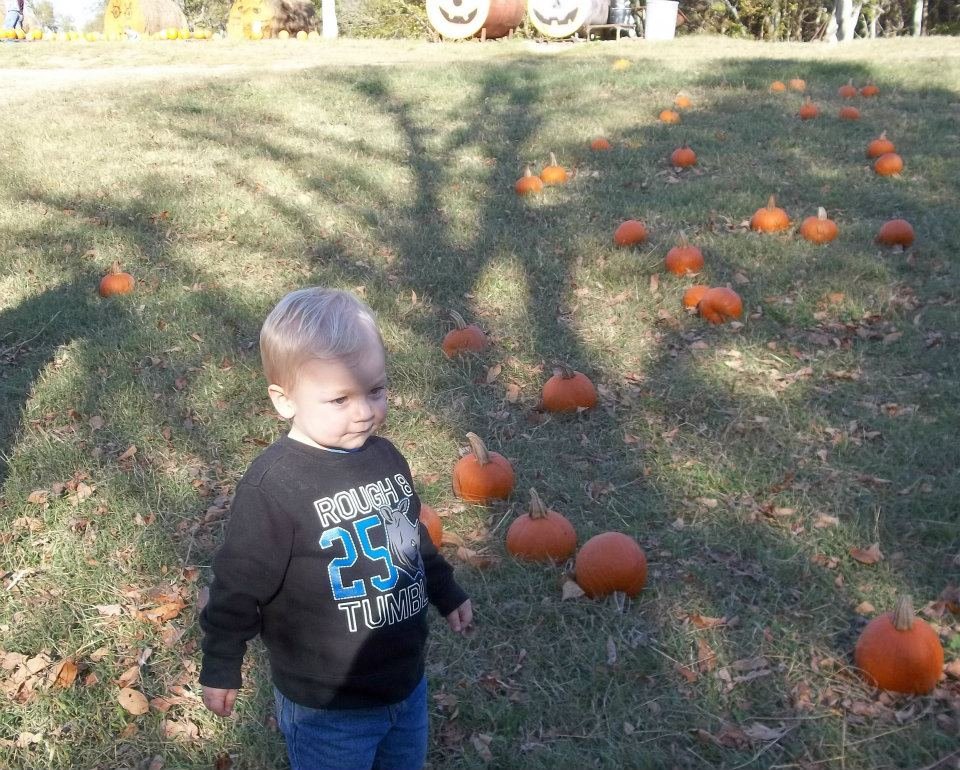 Barbara Sisk's album, Pumpkin Hill