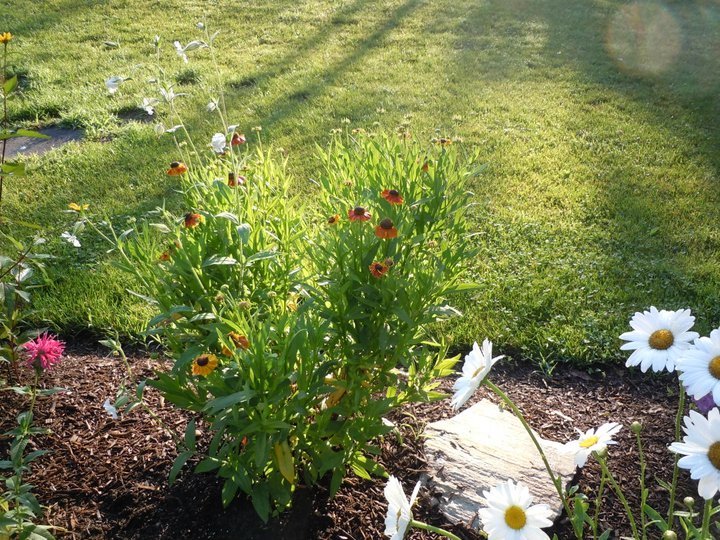 Paul Daigle's album, July 15, 2011