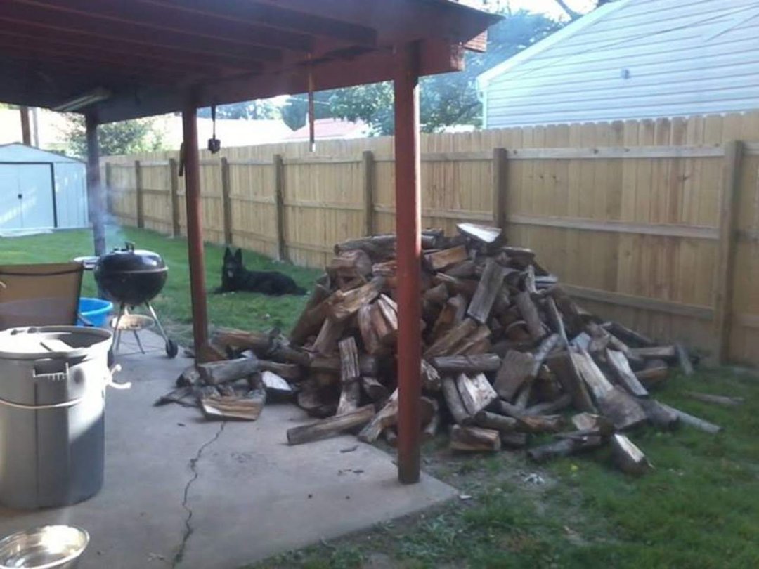 james fogarty's album, got wood