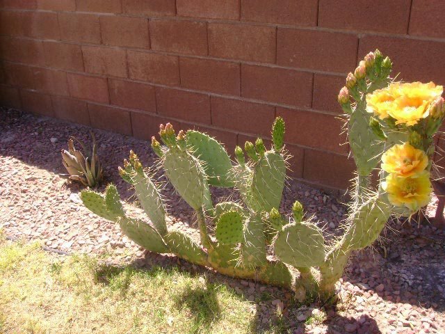 Beverly Lumm's album, Timeline Photos