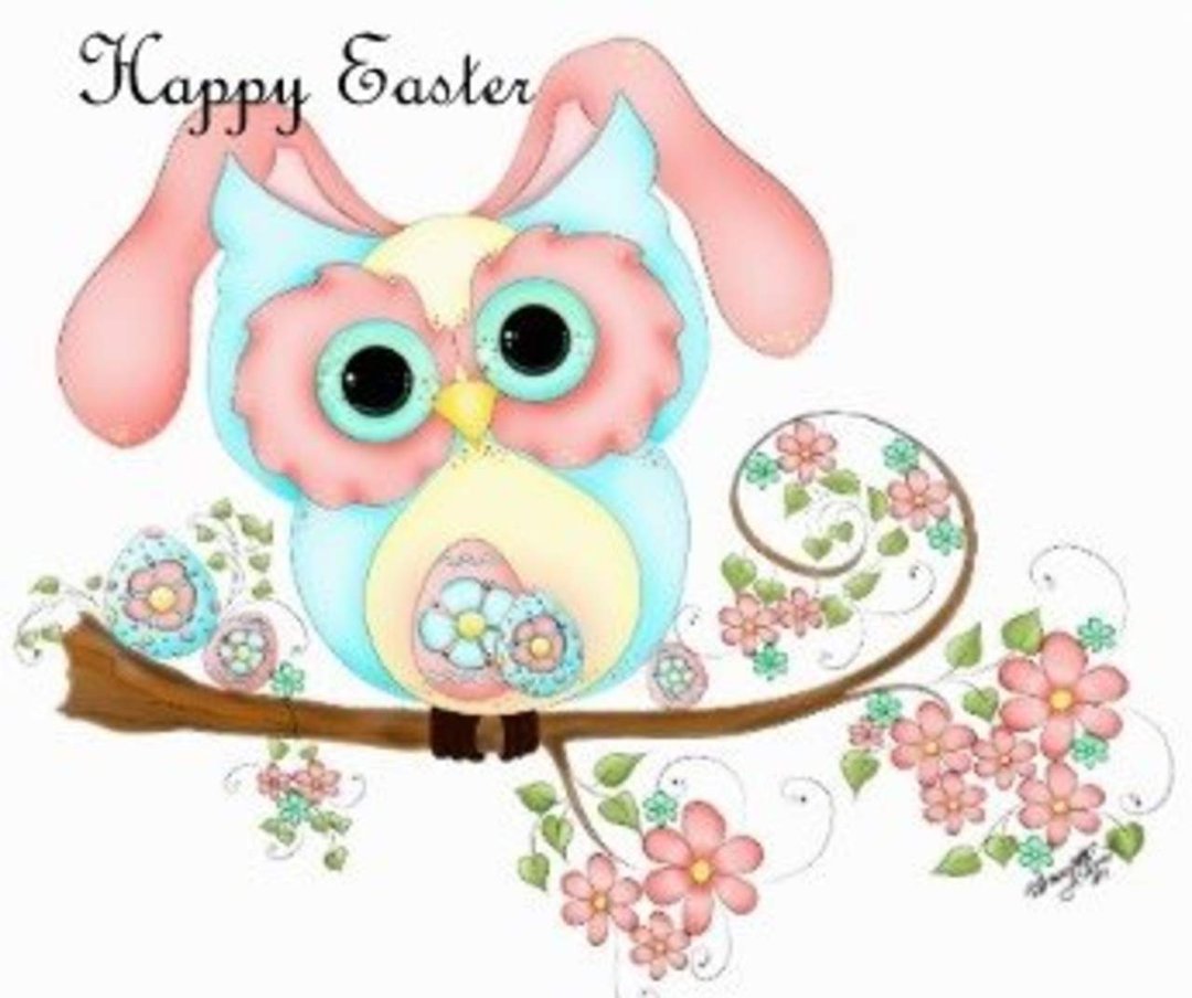 Lorraine Vespoli's album, Timeline Photos