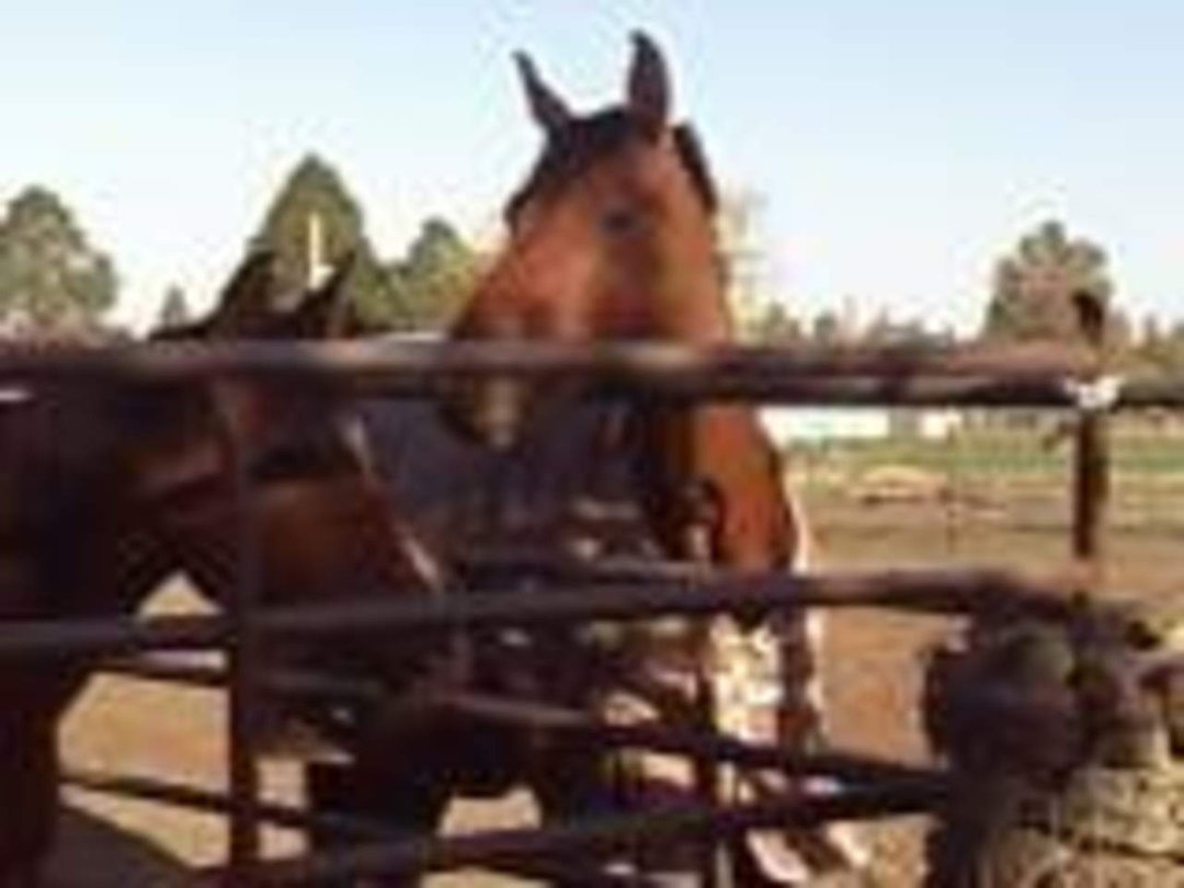 Debra Kentta's album, Mobile Uploads
