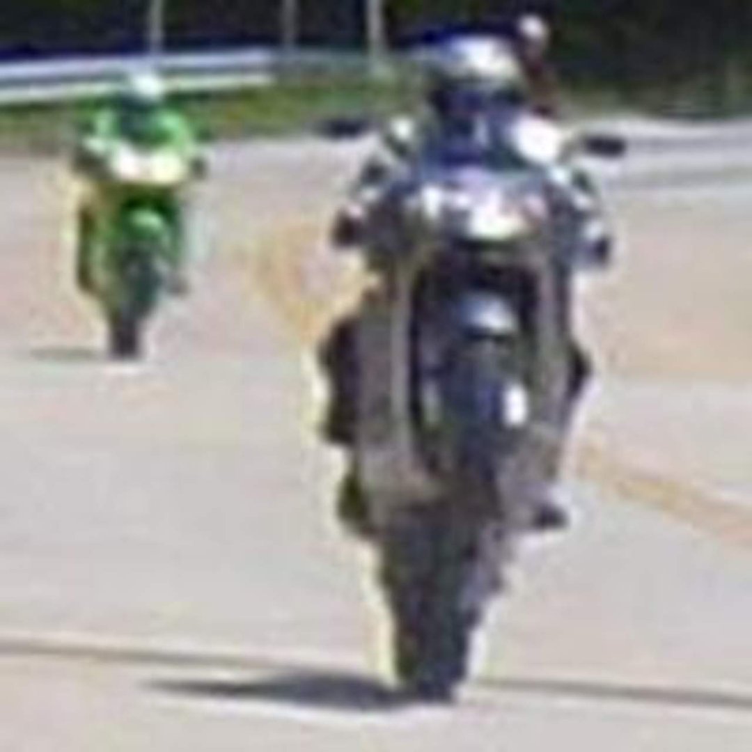 Lenny Dvorak's album, Profile Pictures
