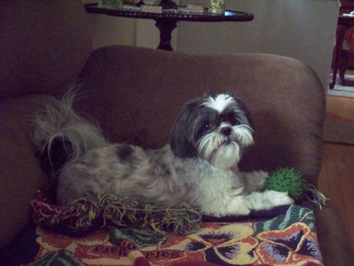 Nancy Dohm's album, Cover Photos