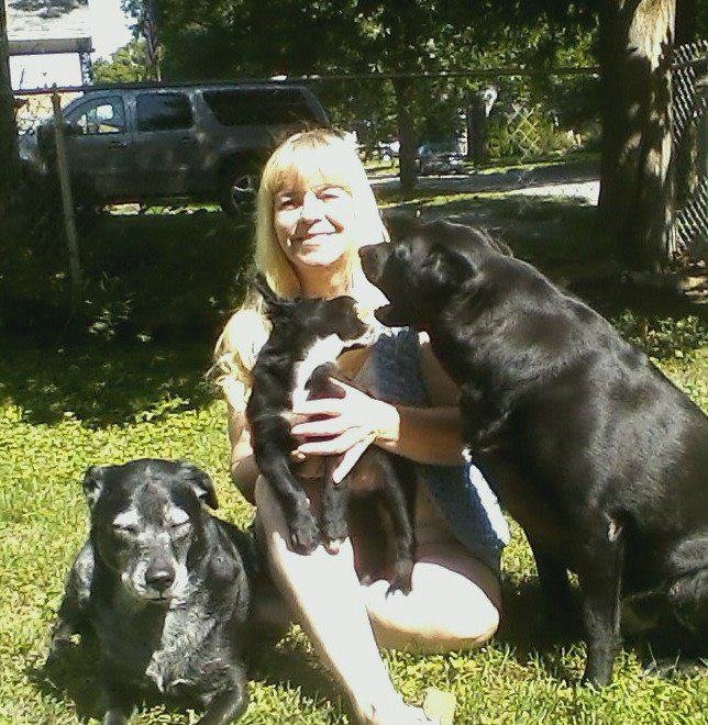 Susan Wilson's album, Mobile Uploads