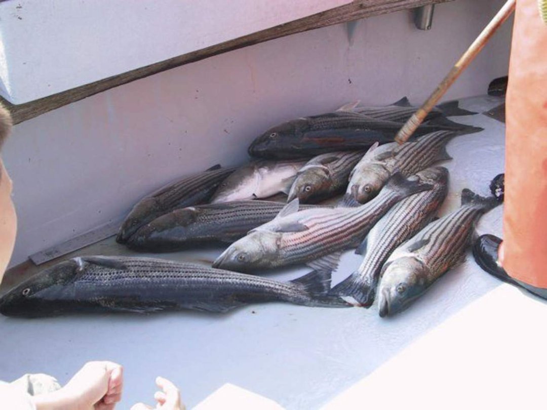 james Smith's album, Jan 1, 1980