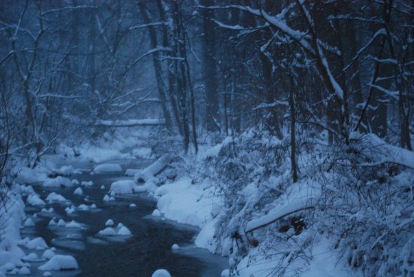Donna Greenwald's album, winter wonderland