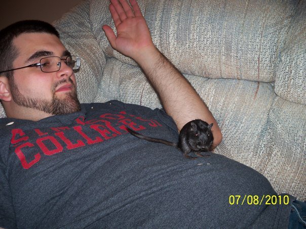 Lisa Risvold's album, Travis_Gerbils