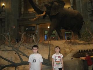 Tracy Wayt's album, Spring Break in DC