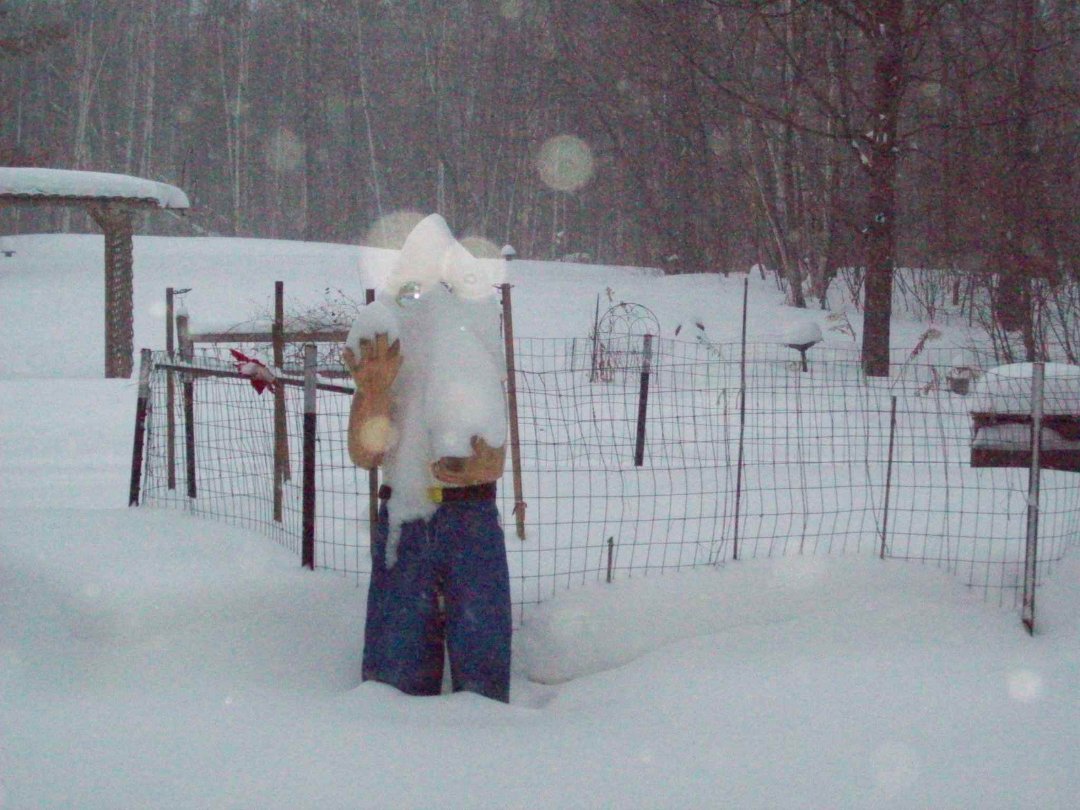 Paulette Koran's album, Winter Wonderland 12-11-10