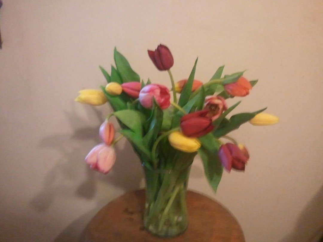 Annette Flacy's album, Mobile Uploads