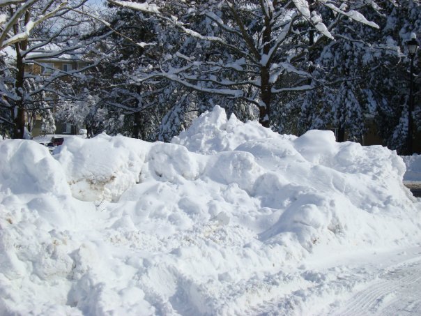Donald Swan's album, Snow_Feb_2010