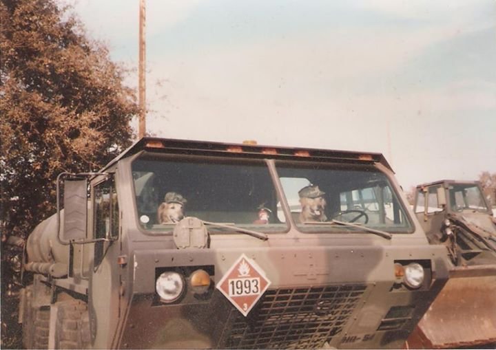 deborah evans' album, Army Dogs