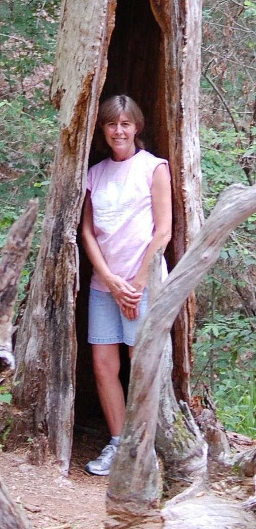 Cynthia Hyles' album, Profile Pictures