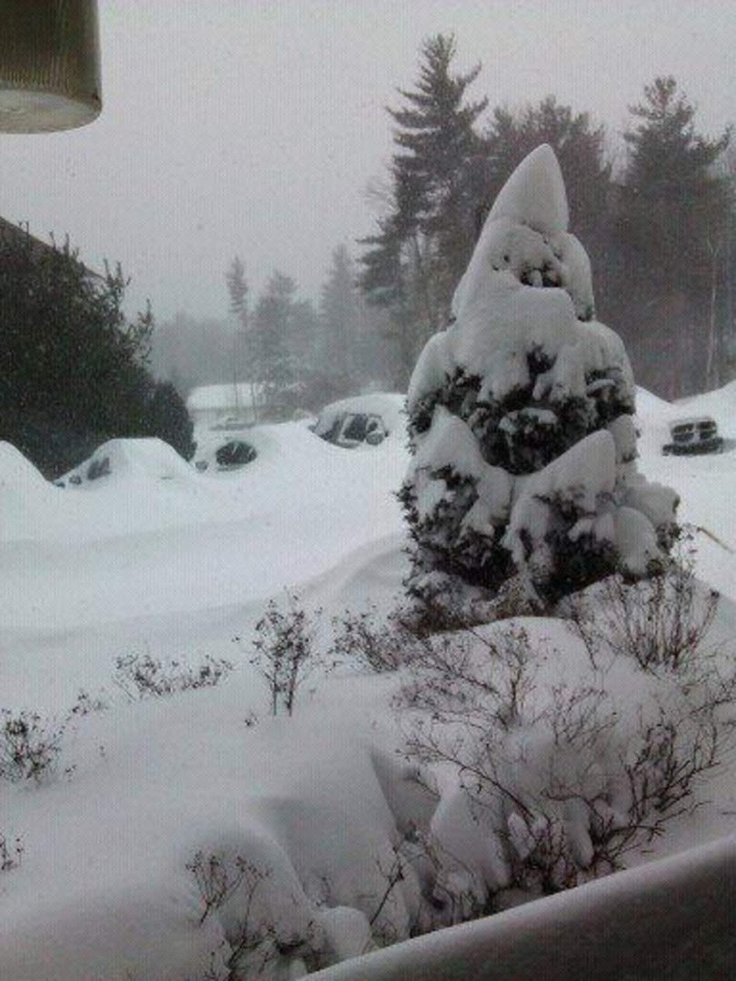 Maria Hebert's album, NorEaster February 2013