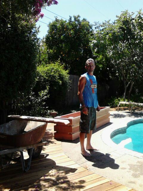 Amos Todd's album, Mobile Uploads