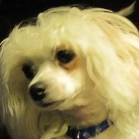 Nancy Brown's album, Profile Pictures