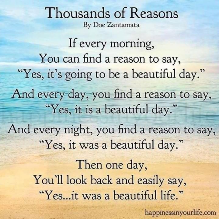 Claudia Kroll's album, Timeline Photos