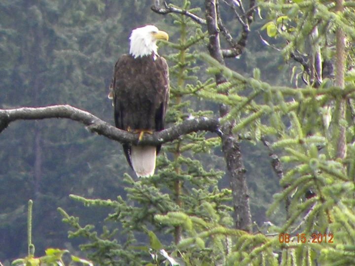Denise Eldon's album, Alaska- August 2012