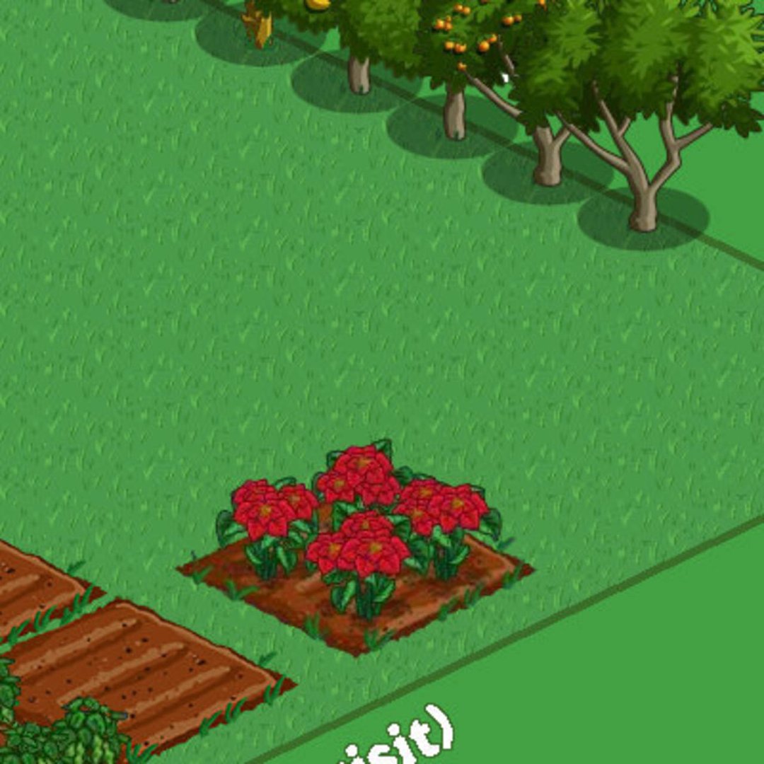 Sarah Williams' album, FarmVille Photos