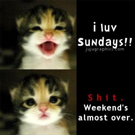 Marcella Cote-Sheppard's album, Timeline Photos