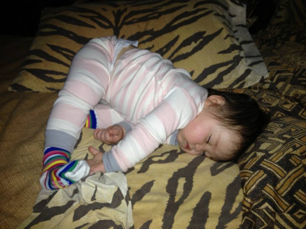 Zev Greenfield's album, iOS Photos