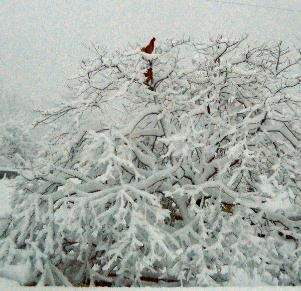 Steven Defibaugh's album, Timeline Photos