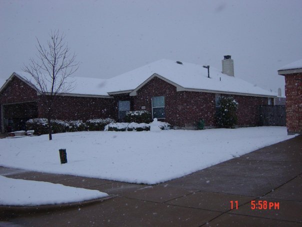 Sean Fleming's album, Texas snow 2/11/2010