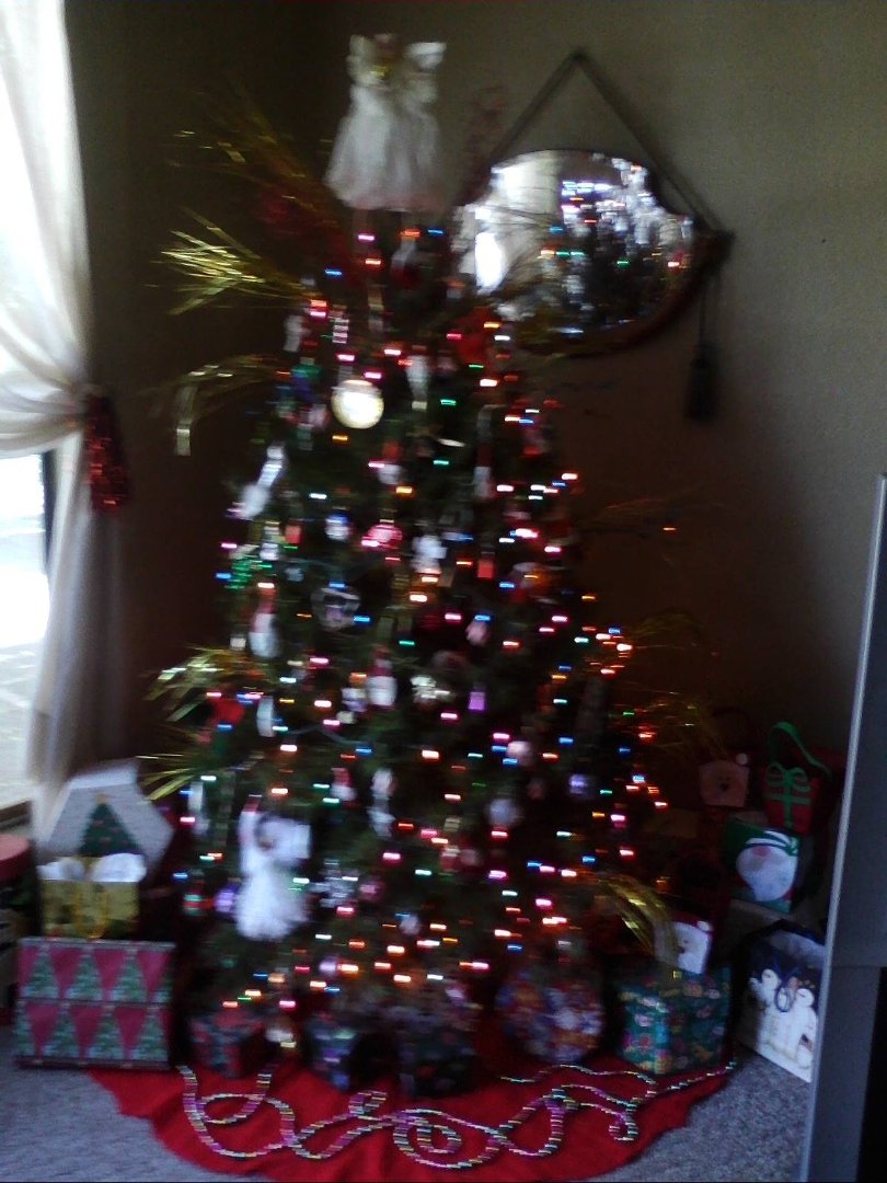 Sandy Sommers' album, Timeline Photos