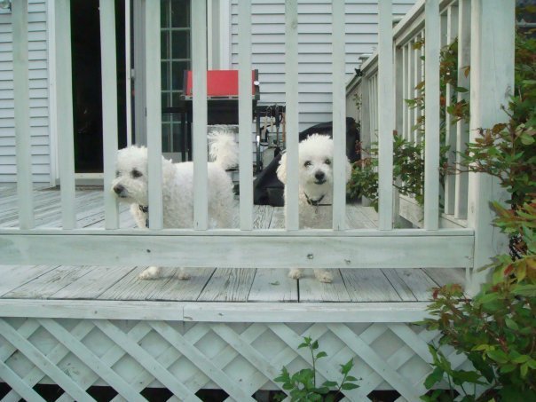 Sandra Caliente's album, Cheswick and Wilson
