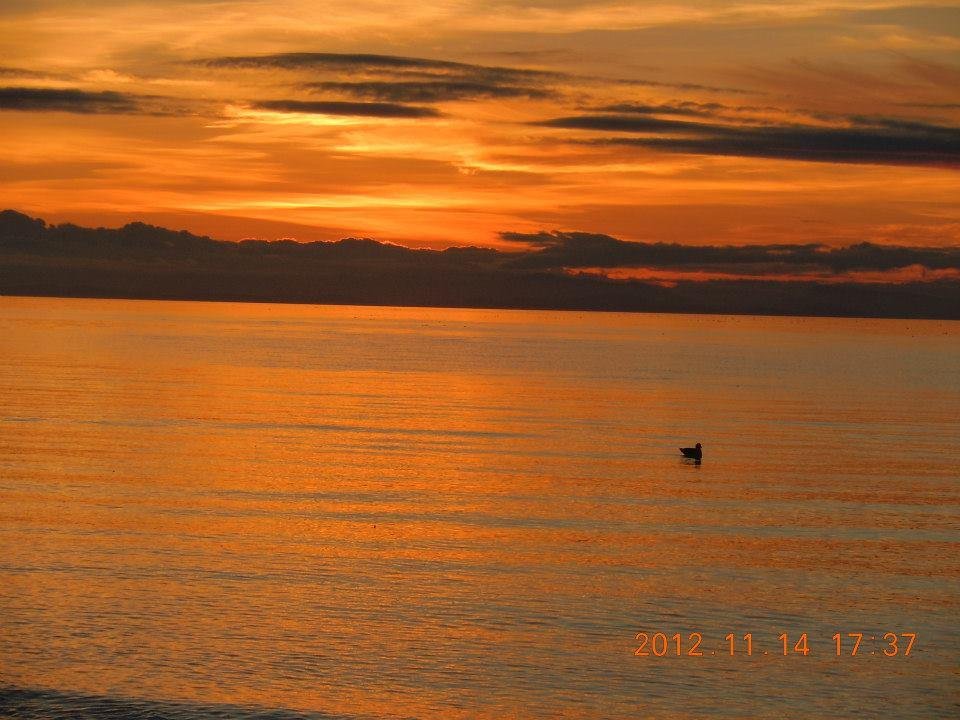 Donna Hurst's album, Sunset at Semiahmoo Resort