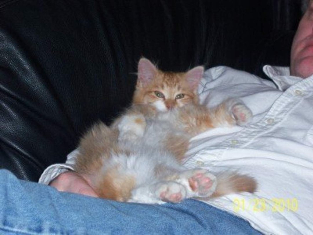 Lisa Marcellus' album, Ginger