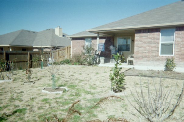 Dennis Aalid's album, Dennis' Home Photos