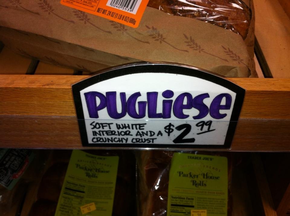 Mark Pugliese's album, Mobile Uploads