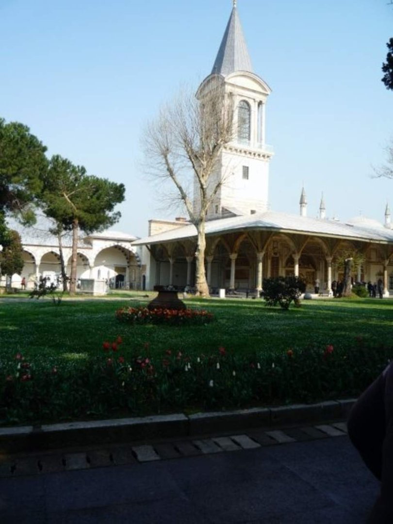 Tracy Cunningham's album, turkey